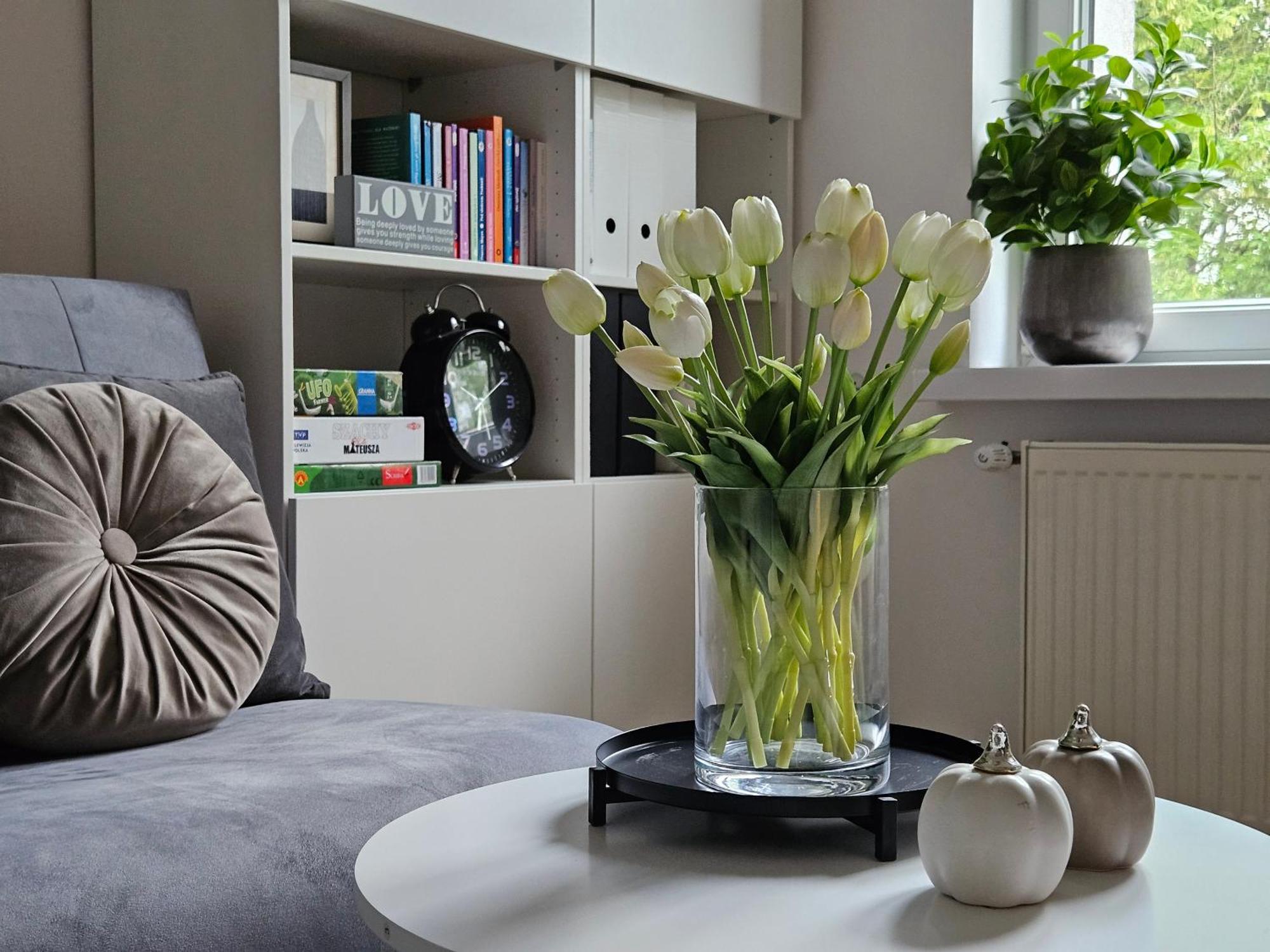 Apartment Studzienna
