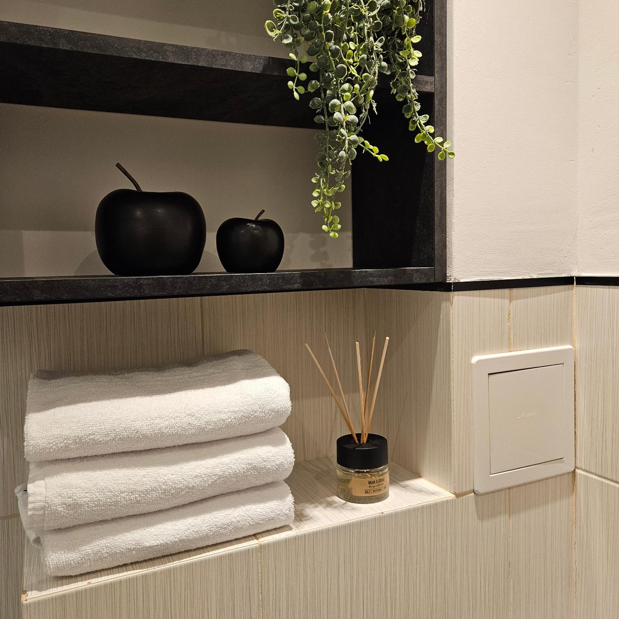 Studzienna Apartment Torun